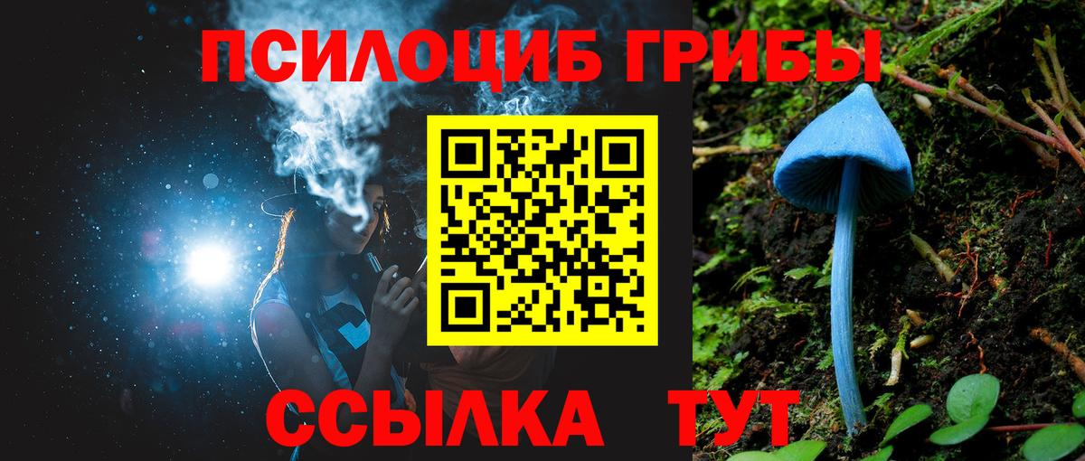 Гагарин  Галлюциногенные грибы прущие грибы  Псилоцибиновые грибы прущие грибы  Вход с VPN 